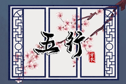 紫微命盘八字排盘,双人紫微合盘详解,倪师紫微斗数,命命盘,紫微十四主星详解