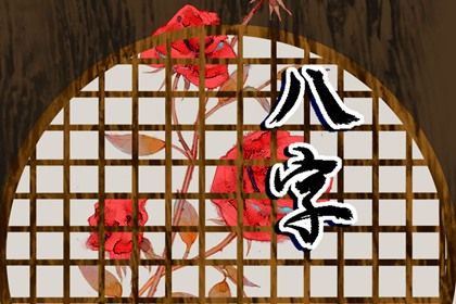 排盘报告阅读顺序